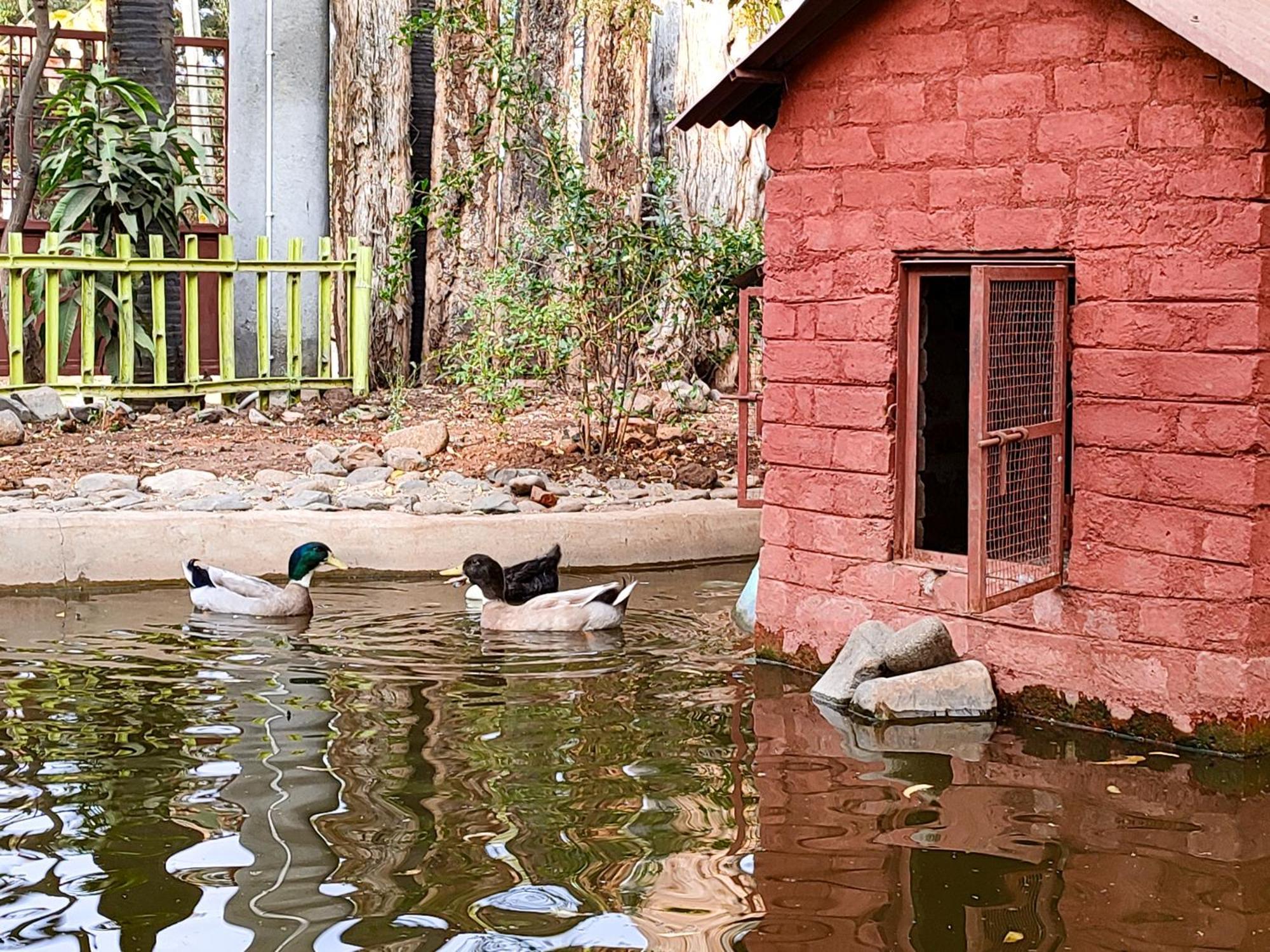 Van Vagdo Resort Rajpipla Екстериор снимка